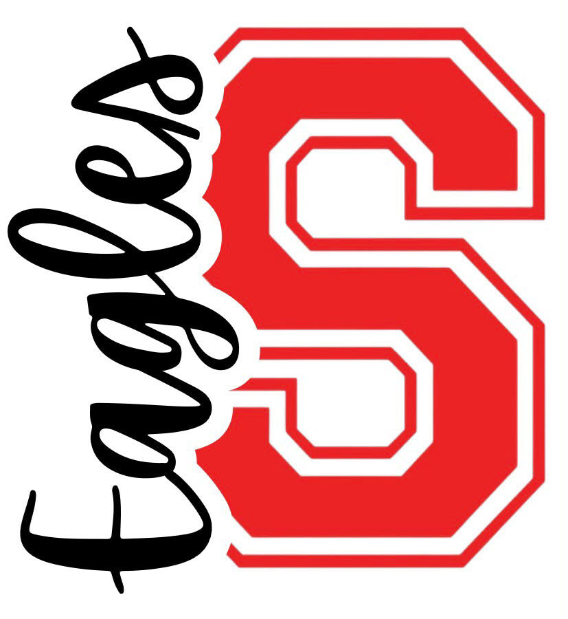 CUSTOM KNOCKOUT NAME OR SPORTS SHIRT — EMBROIDERY